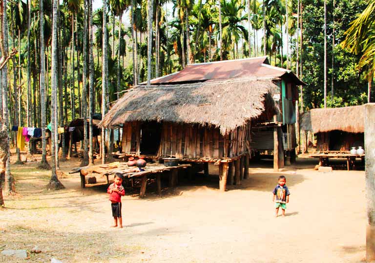 Kalimpong & Dooars Tour Package - 4 Nights / 5 Days - Image 4