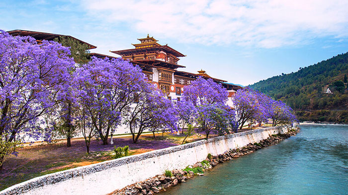 Bhutan Tour Package 6N 7D - Image 1