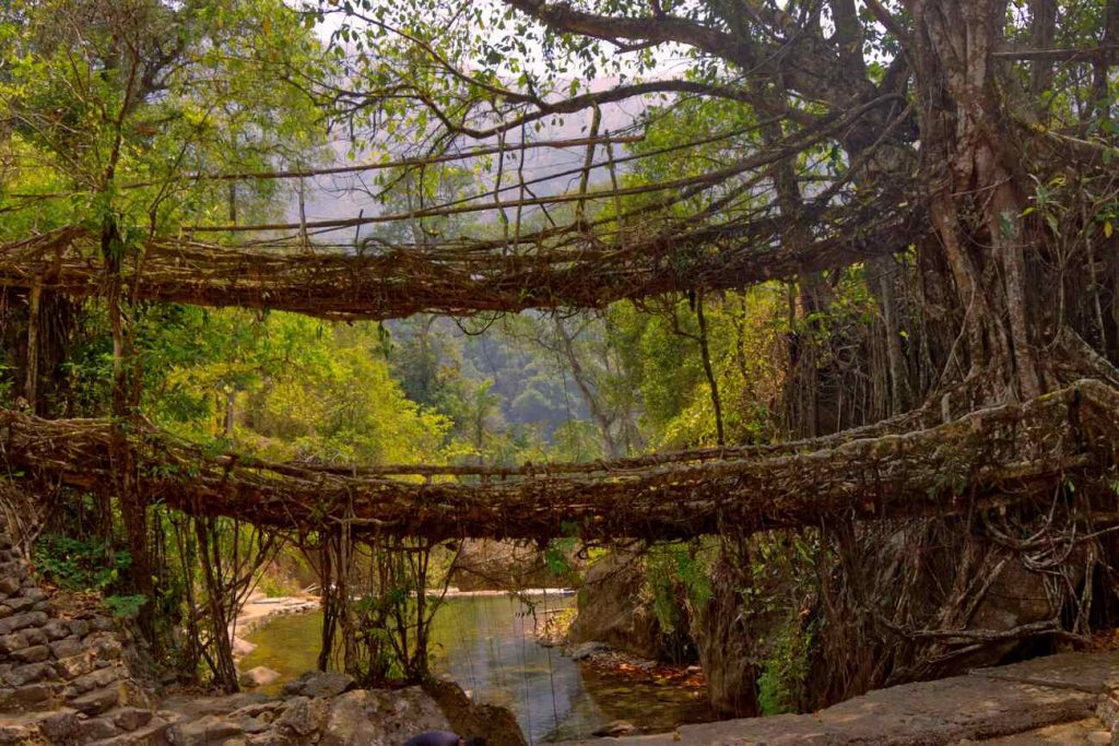 Shillong Tour Package - 5 Nights / 6 Days - Image 3