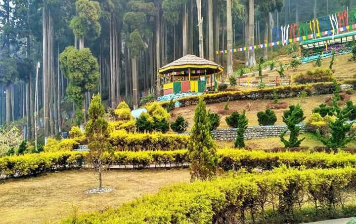 Darjeeling & Lamahatta Tour Package - 3 Nights / 4 Days